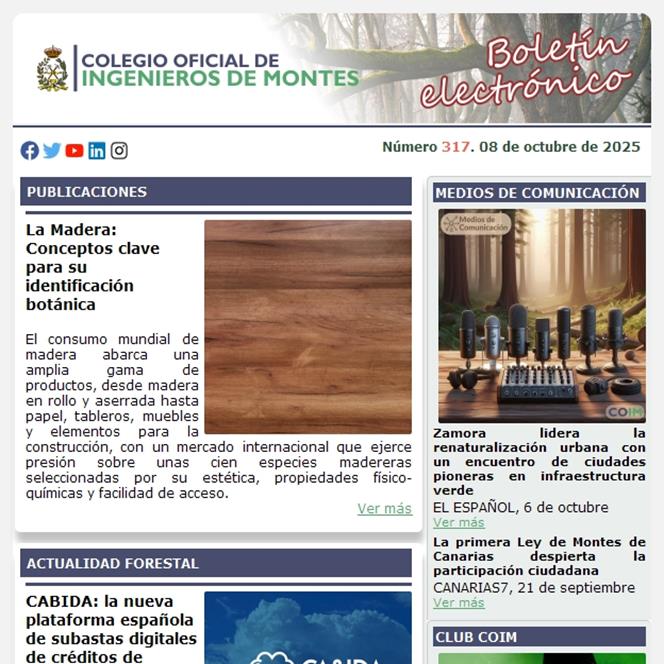Publicado el Boletín Informativo número 317