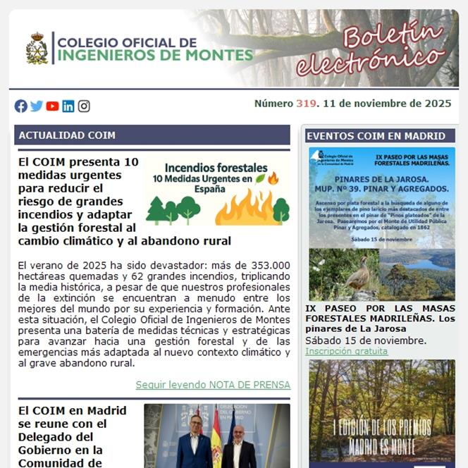 Publicado el Boletín Informativo número 319