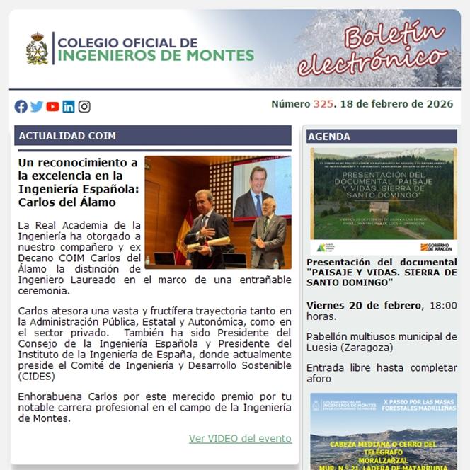 Publicado el Boletín Informativo número 325