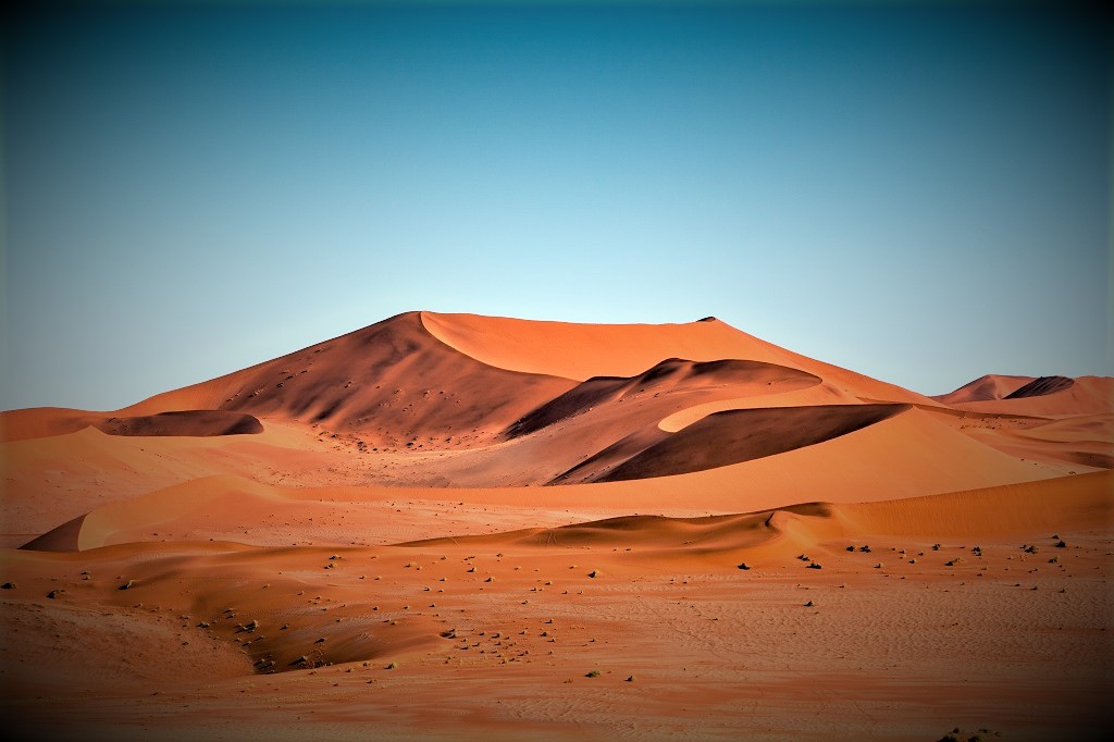 Esto es un desierto