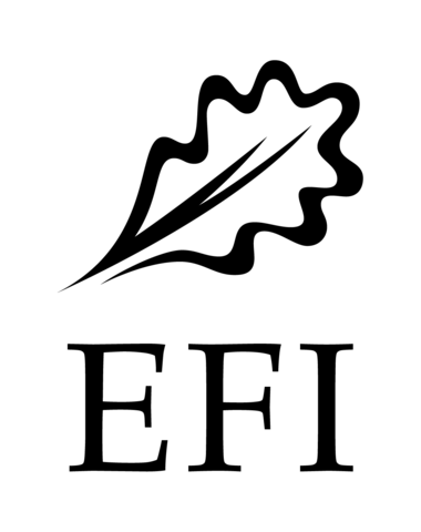 Logotipo de EFI